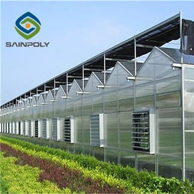 Vegetais folhosos plantando estufa de folha de PC